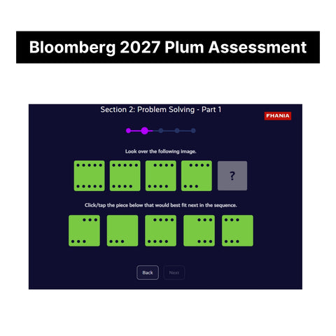 2027 Bloomberg Plum Online Assessment & Video Interview Tutorials