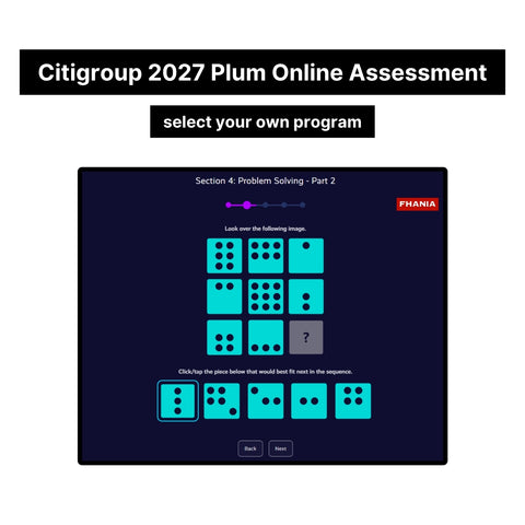 2027 Citigroup Online Assessment Plum Tutorials