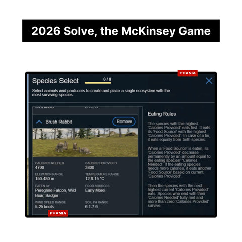 2026 McKinsey Solve Game, RedRock Study, Case Interview Interactive Simulations
