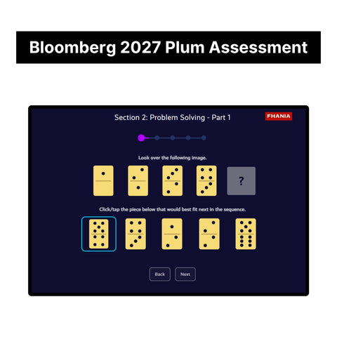 2027 Bloomberg Plum Online Assessment & Video Interview Tutorials