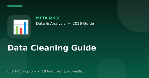 Data Cleaning Guide illustration – Meta Muse Data & Analysis guide 2026