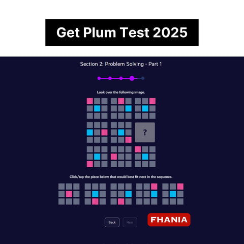 2025 Bloomberg Plum Online Assessment & Video Interview Tutorials