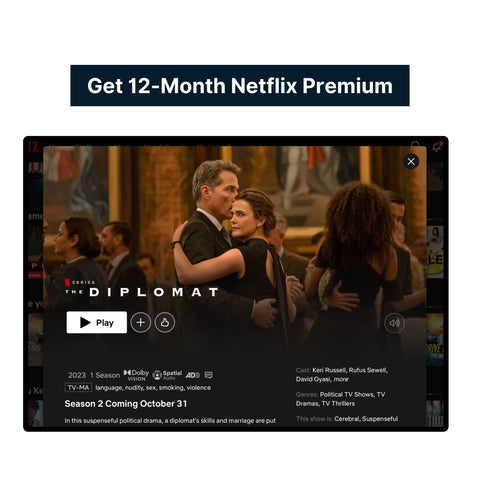 Netflix Premium 12-Month Stable Account