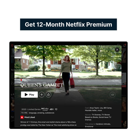 Netflix Premium 12-Month Stable Account