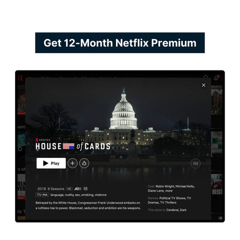 Netflix Premium 12-Month Stable Account