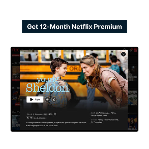 Netflix Premium 12-Month Stable Account