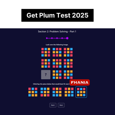 2025 Bloomberg Plum Online Assessment & Video Interview Tutorials