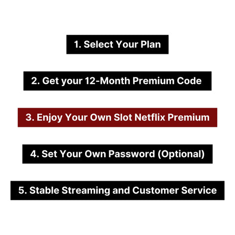 Netflix Premium 12-Month Stable Account