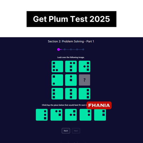 2025 Bloomberg Plum Online Assessment & Video Interview Tutorials